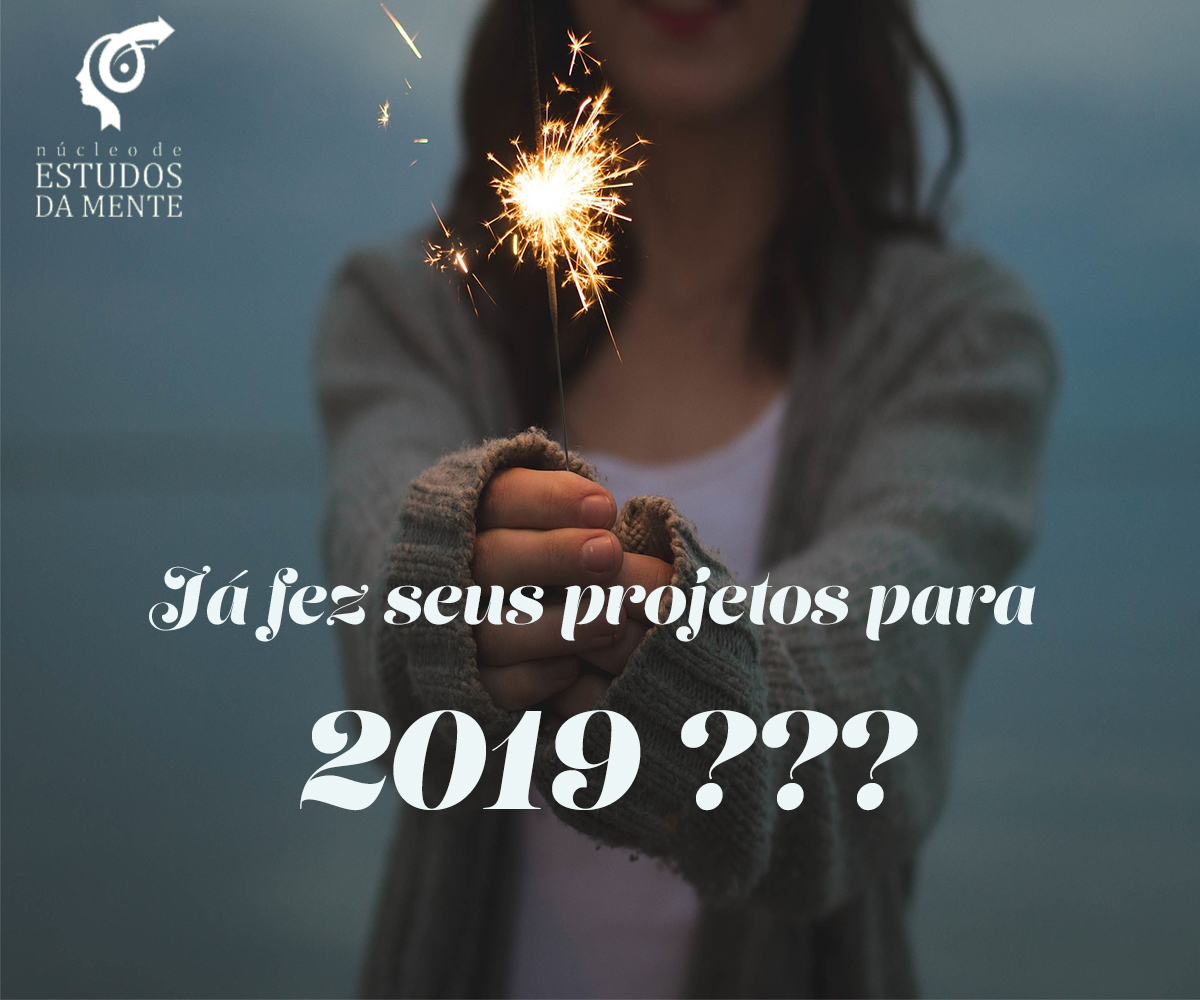 Já fez seus projetos para 2019???